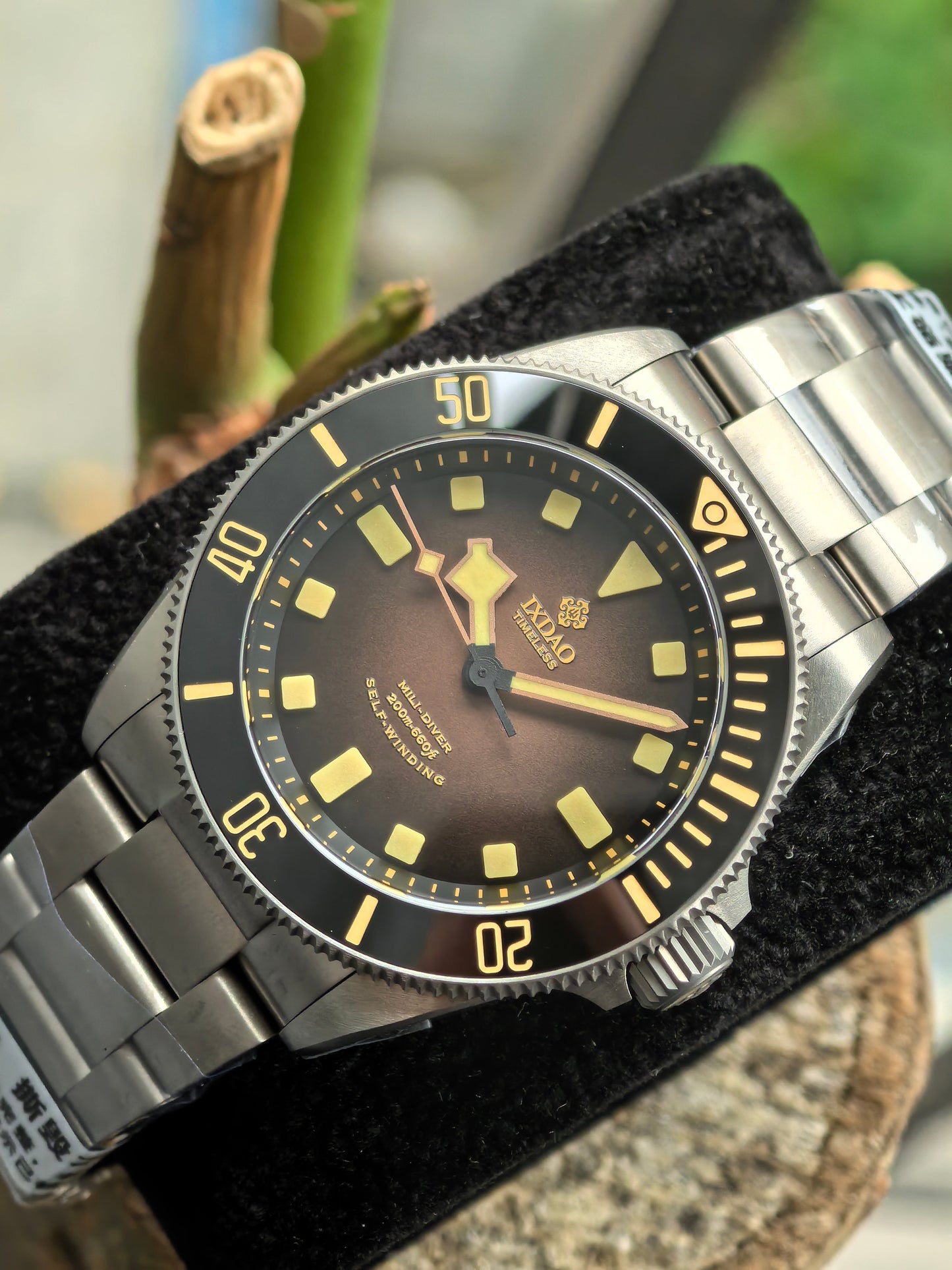 IXDAO Titanium 39mm Automatic Dive Watch-Gradient brown dial IXDAO Watch Official Store