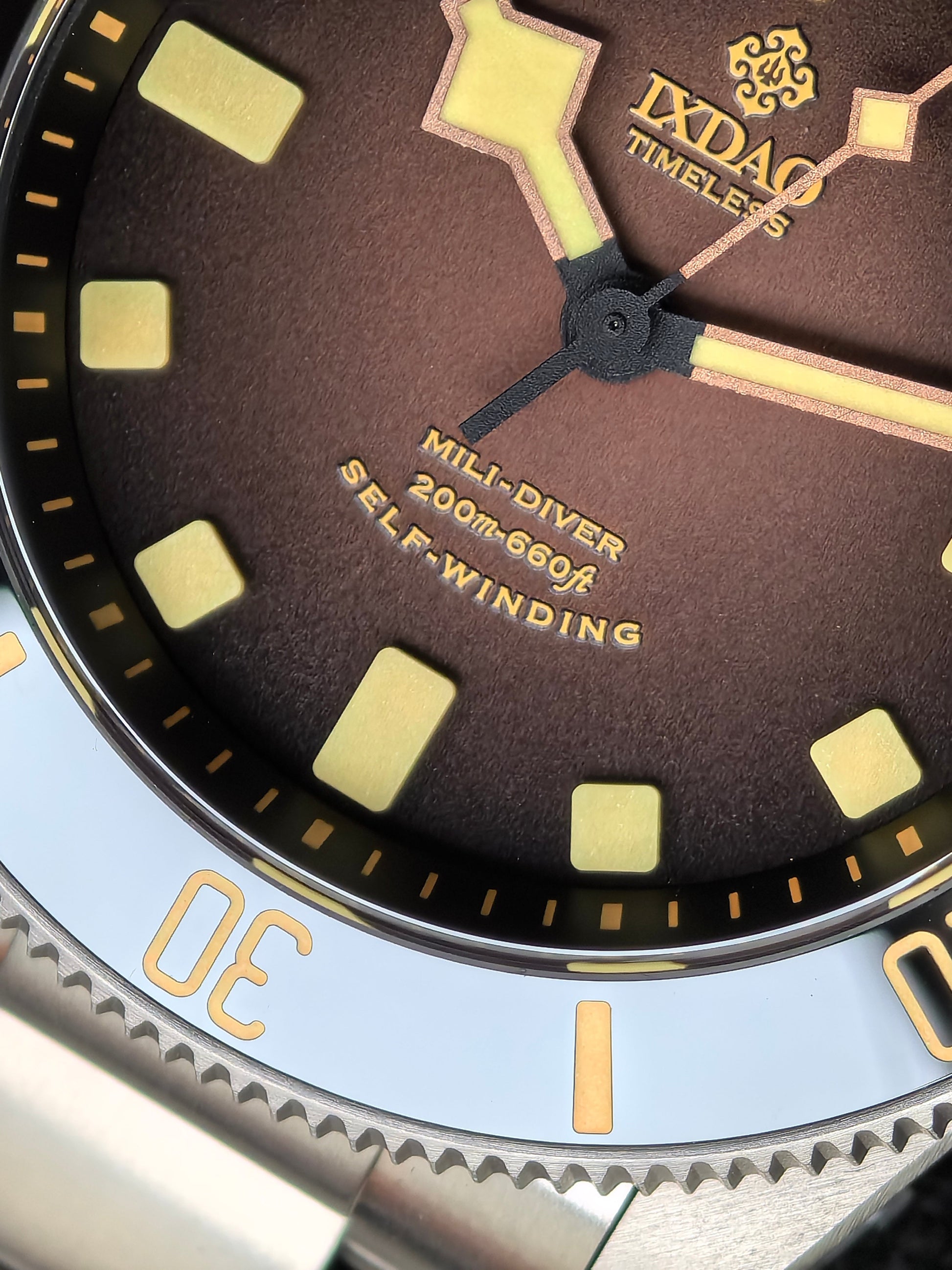 IXDAO Titanium 39mm Automatic Dive Watch-Gradient brown dial IXDAO Watch Official Store