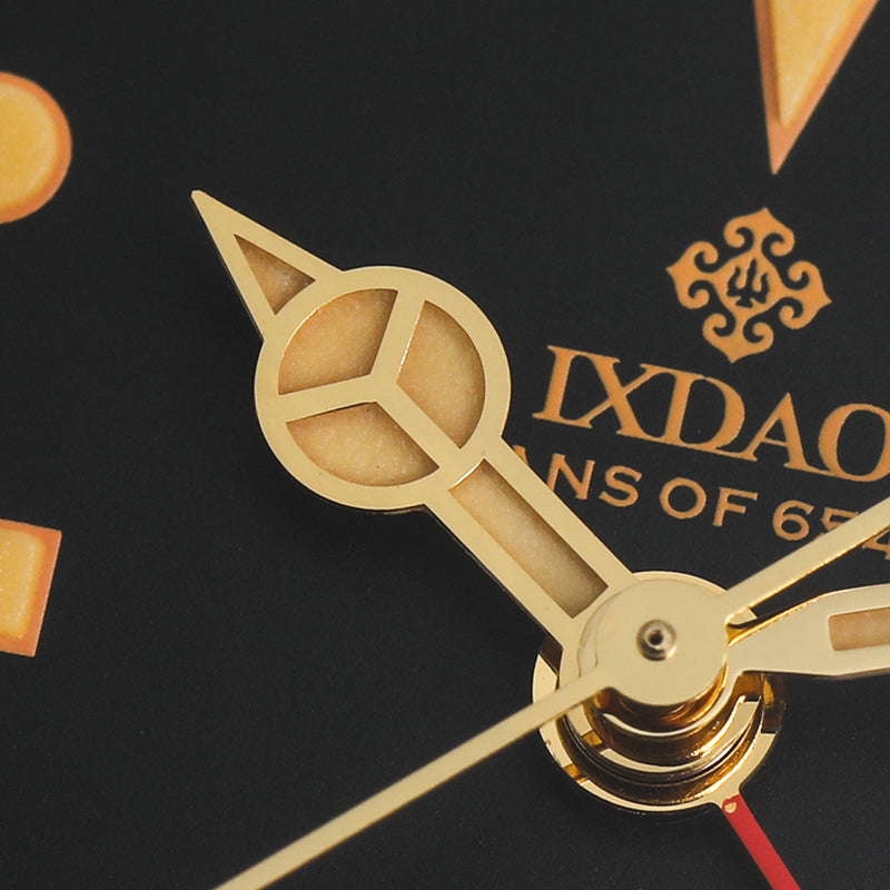 IXDAO 6542 Vintage 38MM NH34 GMT 904L Automatic Dive Watch Grey Dial IXDAO Watch Official Store
